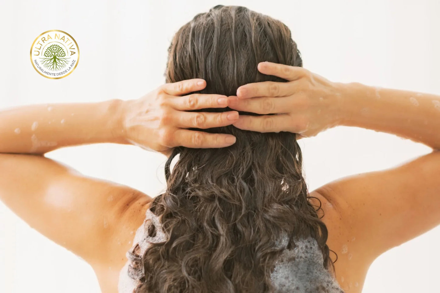 Shampoo Células Madre y Romero