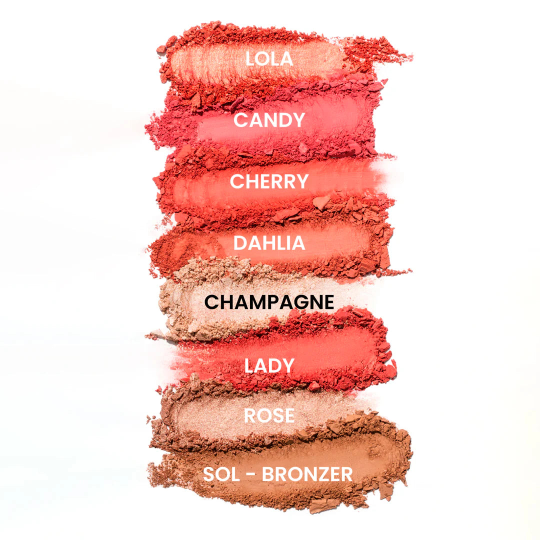 PALETA DE RUBOR LIGHT SET 8T